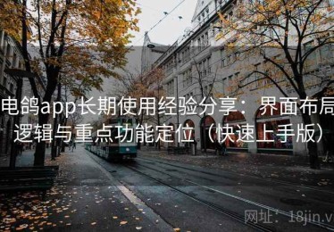 电鸽app长期使用经验分享：界面布局逻辑与重点功能定位（快速上手版）