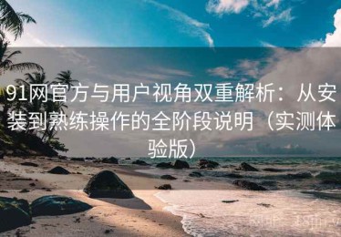91网官方与用户视角双重解析：从安装到熟练操作的全阶段说明（实测体验版）