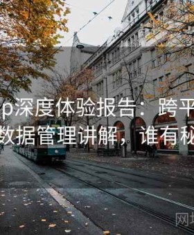 秘语app深度体验报告：跨平台同步体验与数据管理讲解，谁有秘语会员