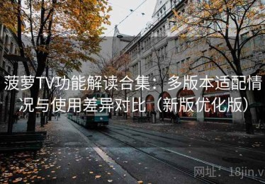 菠萝TV功能解读合集：多版本适配情况与使用差异对比（新版优化版）