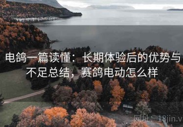 电鸽一篇读懂：长期体验后的优势与不足总结，赛鸽电动怎么样