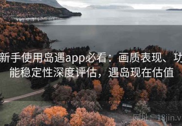 新手使用岛遇app必看：画质表现、功能稳定性深度评估，遇岛现在估值
