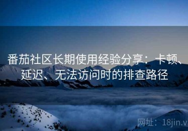番茄社区长期使用经验分享：卡顿、延迟、无法访问时的排查路径
