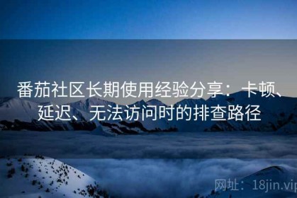 番茄社区长期使用经验分享：卡顿、延迟、无法访问时的排查路径