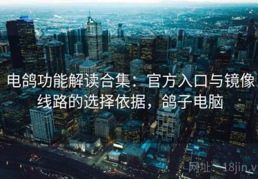 电鸽功能解读合集：官方入口与镜像线路的选择依据，鸽子电脑