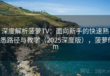 深度解析菠萝TV：面向新手的快速熟悉路径与教学（2025深度版），菠萝fm