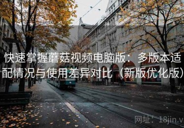 快速掌握蘑菇视频电脑版：多版本适配情况与使用差异对比（新版优化版）
