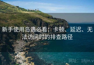 新手使用岛遇必看：卡顿、延迟、无法访问时的排查路径