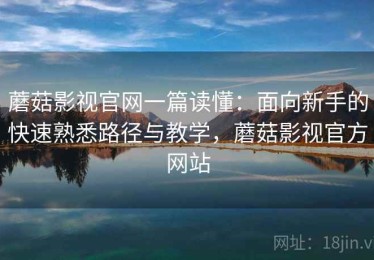 蘑菇影视官网一篇读懂：面向新手的快速熟悉路径与教学，蘑菇影视官方网站