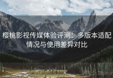樱桃影视传媒体验评测：多版本适配情况与使用差异对比