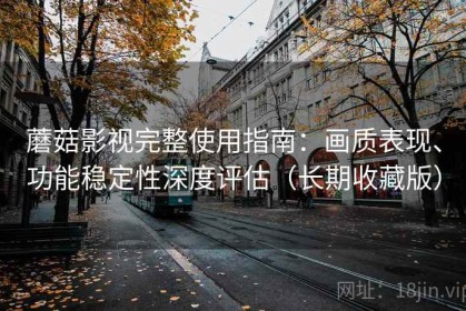 蘑菇影视完整使用指南：画质表现、功能稳定性深度评估（长期收藏版）
