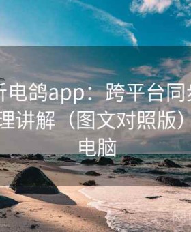 深度解析电鸽app：跨平台同步体验与数据管理讲解（图文对照版），鸽子电脑