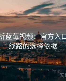 深度解析蓝莓视频：官方入口与镜像线路的选择依据