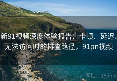 新91视频深度体验报告：卡顿、延迟、无法访问时的排查路径，91pn视频