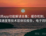 电鸽app功能解读合集：缓存机制、加载速度等技术层体验报告，电子鸽钟