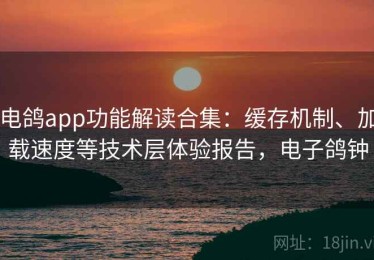 电鸽app功能解读合集：缓存机制、加载速度等技术层体验报告，电子鸽钟