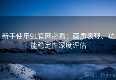 新手使用91官网必看：画质表现、功能稳定性深度评估