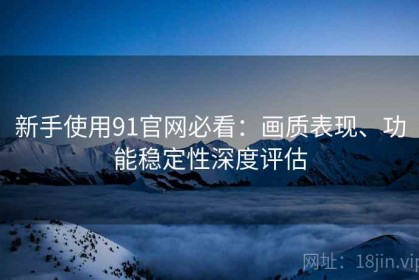 新手使用91官网必看：画质表现、功能稳定性深度评估