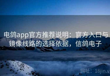 电鸽app官方推荐说明：官方入口与镜像线路的选择依据，信鸽电子