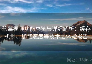 蓝莓视频功能总览与详细解析：缓存机制、加载速度等技术层体验报告