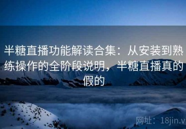 半糖直播功能解读合集：从安装到熟练操作的全阶段说明，半糖直播真的假的