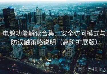 电鸽功能解读合集：安全访问模式与防误触策略说明（高阶扩展版）
