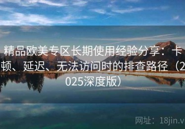 精品欧美专区长期使用经验分享：卡顿、延迟、无法访问时的排查路径（2025深度版）