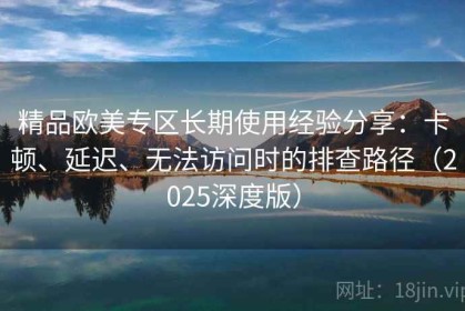 精品欧美专区长期使用经验分享：卡顿、延迟、无法访问时的排查路径（2025深度版）