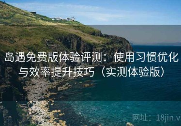 岛遇免费版体验评测：使用习惯优化与效率提升技巧（实测体验版）