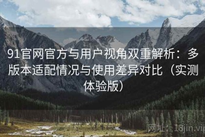 91官网官方与用户视角双重解析：多版本适配情况与使用差异对比（实测体验版）