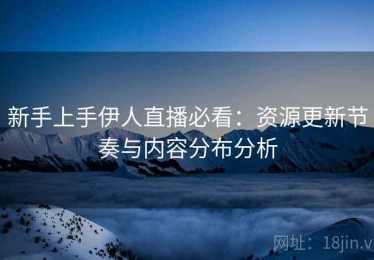 新手上手伊人直播必看：资源更新节奏与内容分布分析