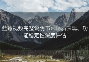 蓝莓视频完整说明书：画质表现、功能稳定性深度评估