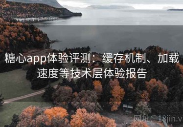 糖心app体验评测：缓存机制、加载速度等技术层体验报告