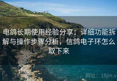 电鸽长期使用经验分享：详细功能拆解与操作步骤分析，信鸽电子环怎么取下来
