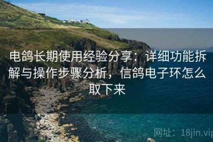电鸽长期使用经验分享：详细功能拆解与操作步骤分析，信鸽电子环怎么取下来