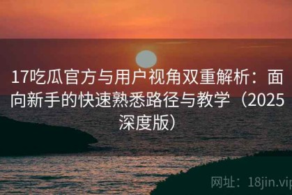 17吃瓜官方与用户视角双重解析：面向新手的快速熟悉路径与教学（2025深度版）