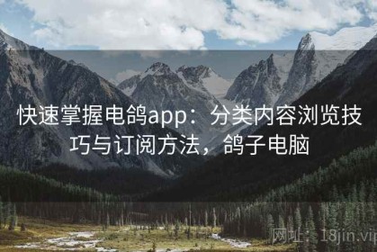 快速掌握电鸽app：分类内容浏览技巧与订阅方法，鸽子电脑