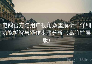 电鸽官方与用户视角双重解析：详细功能拆解与操作步骤分析（高阶扩展版）
