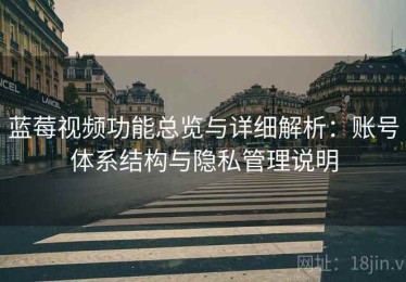 蓝莓视频功能总览与详细解析：账号体系结构与隐私管理说明