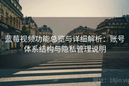 蓝莓视频功能总览与详细解析：账号体系结构与隐私管理说明