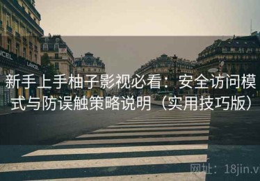 新手上手柚子影视必看：安全访问模式与防误触策略说明（实用技巧版）