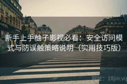 新手上手柚子影视必看：安全访问模式与防误触策略说明（实用技巧版）