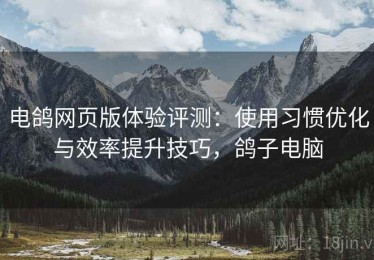 电鸽网页版体验评测：使用习惯优化与效率提升技巧，鸽子电脑