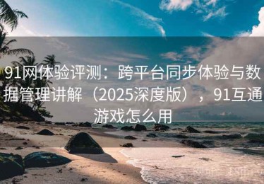 91网体验评测：跨平台同步体验与数据管理讲解（2025深度版），91互通游戏怎么用