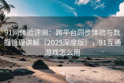 91网体验评测：跨平台同步体验与数据管理讲解（2025深度版），91互通游戏怎么用