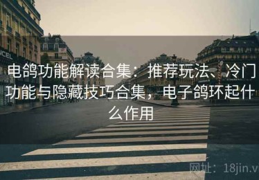 电鸽功能解读合集：推荐玩法、冷门功能与隐藏技巧合集，电子鸽环起什么作用