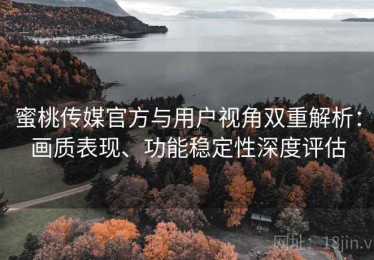 蜜桃传媒官方与用户视角双重解析：画质表现、功能稳定性深度评估