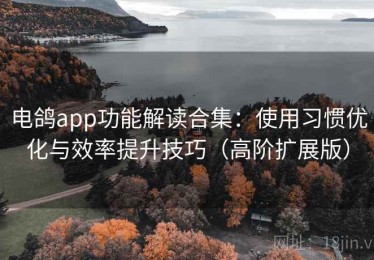 电鸽app功能解读合集：使用习惯优化与效率提升技巧（高阶扩展版）