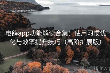 电鸽app功能解读合集：使用习惯优化与效率提升技巧（高阶扩展版）