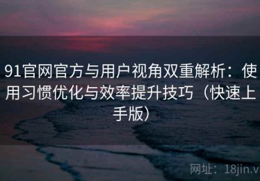 91官网官方与用户视角双重解析：使用习惯优化与效率提升技巧（快速上手版）